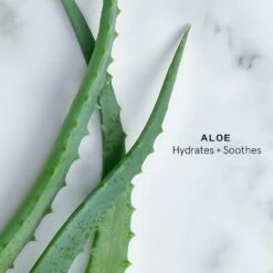 Rich Skin Transformation Cream -Mode- En Schoonheidswinkel Bv22mZ1002103 4 global