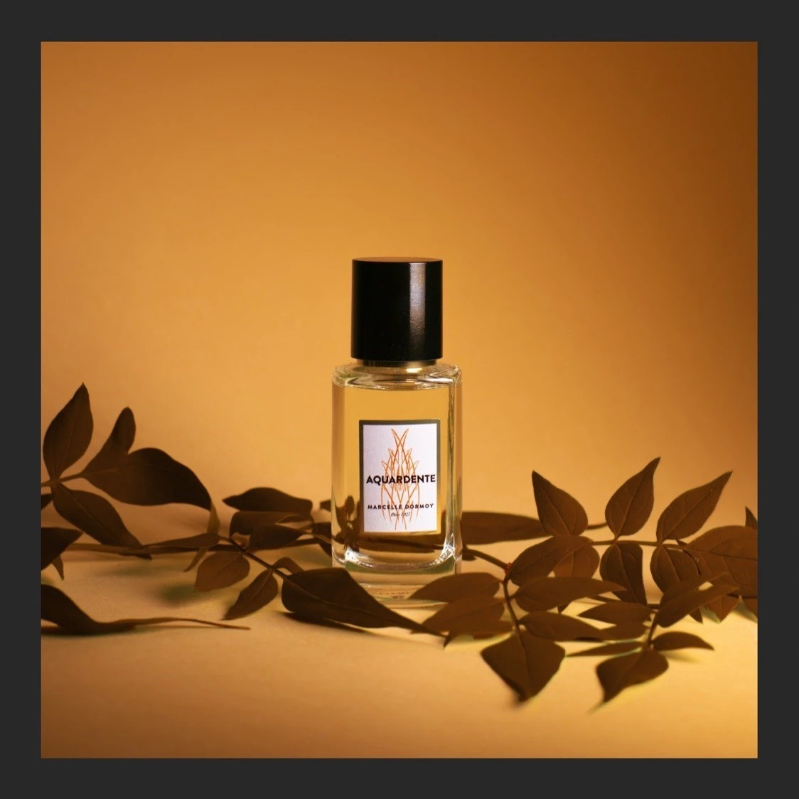 Aquardente 4 Aquardente - Afbeelding 2