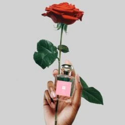 ColognesRed Roses Limited Edition -Mode- En Schoonheidswinkel U2nGj71067786 2 dgl NL