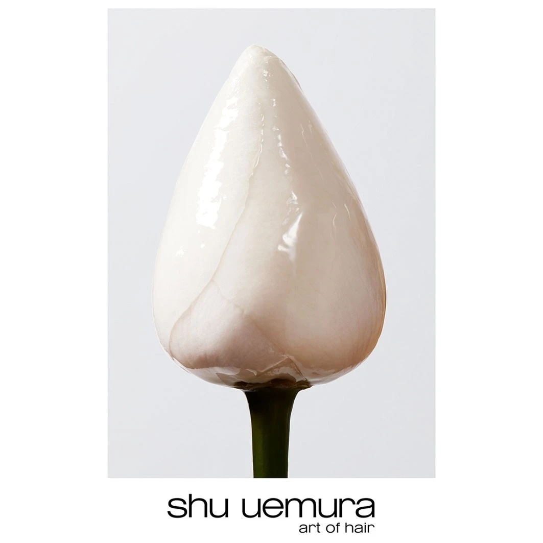 Shu Uemura Essence AbsolueNourishing Oil In 6 Shu Uemura Essence AbsolueNourishing Oil In - Afbeelding 4