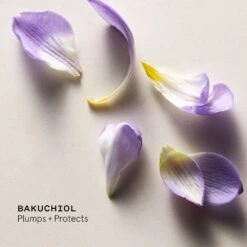 Rich Skin Transformation Cream -Mode- En Schoonheidswinkel drKkKV1002103 3 global