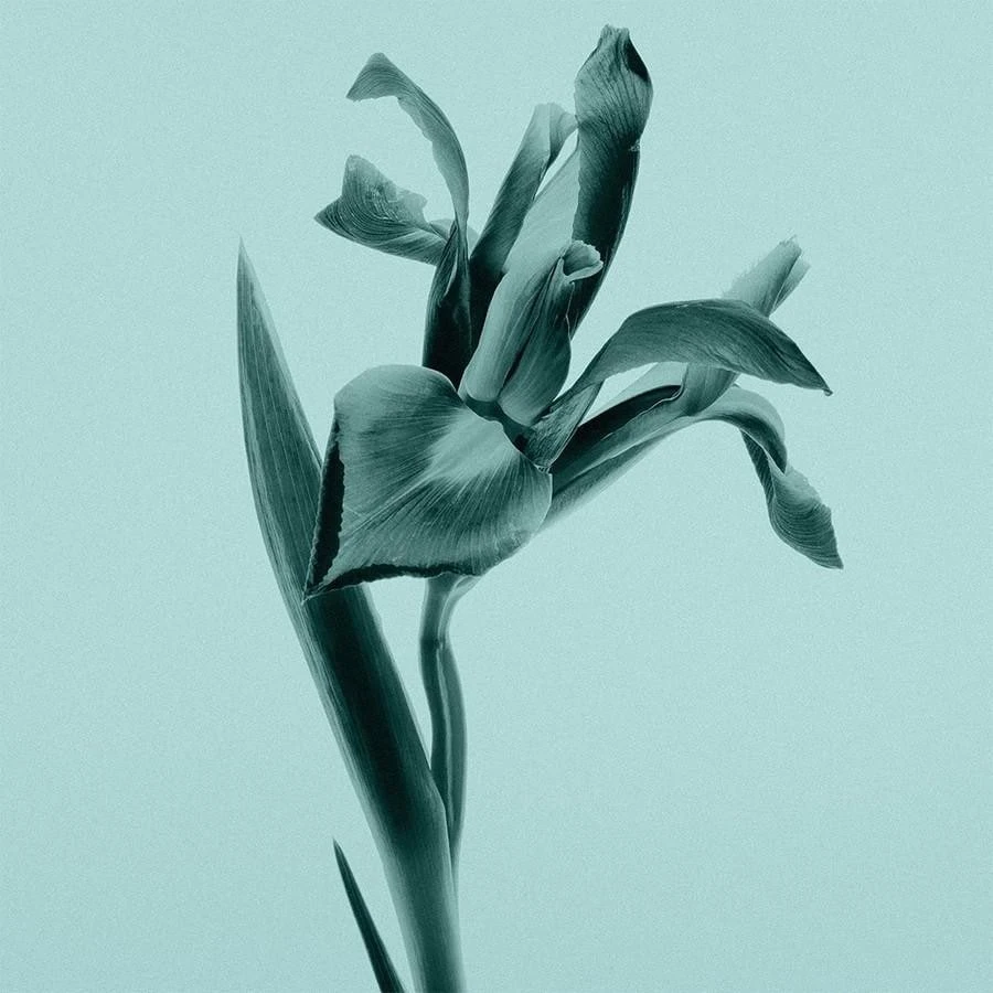 Tiffany & Co.Shower Gel 4 Tiffany & Co.Shower Gel - Afbeelding 2