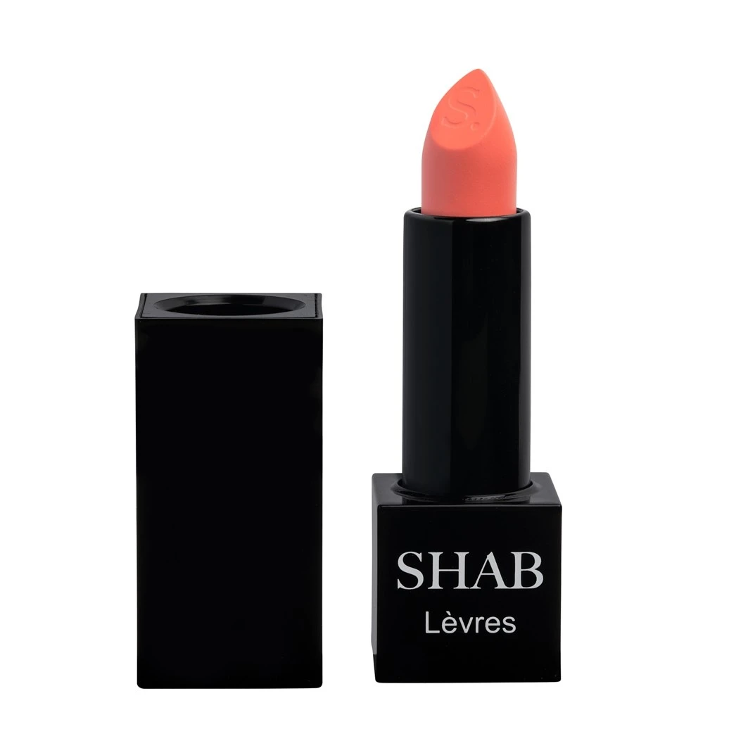 Lèvres Sexy Lips Matte Lipstick 3 Lèvres Sexy Lips Matte Lipstick