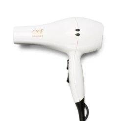 Ionic Hair Dryer