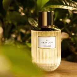 Estee Lauder Luxury FragrancesTender Light Eau De Parfum -Mode- En Schoonheidswinkel qAQLae218870 4 dgl NL
