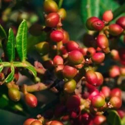 Calvin Klein Eternity For MenCologne Eau De Toilette Spray -Mode- En Schoonheidswinkel rnc98S707372 4 global