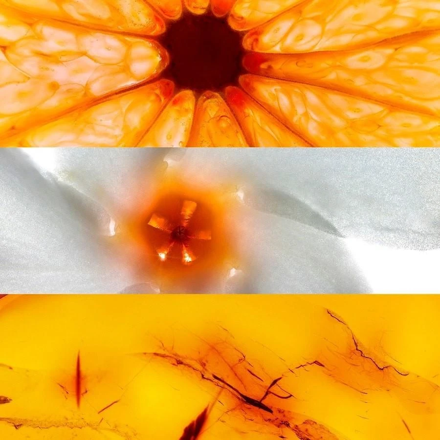 Jil Sander SunRoll On Perspirant 6 Jil Sander SunRoll On Perspirant - Afbeelding 4